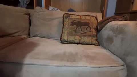 Snapshot of boypussysowet chatting on February 9, 4:05 am smoothslutfordaddy online show from February 9, 4:05 am