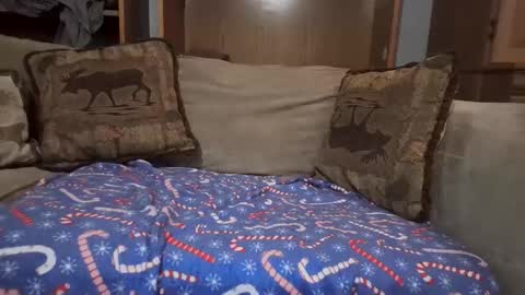 Snapshot of boypussysowet chatting on February 12, 6:58 pm smoothslutfordaddy online show from February 12, 6:58 pm