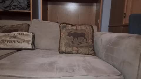 Snapshot of boypussysowet chatting on March 4, 3:51 pm smoothslutfordaddy online show from March 4, 3:51 pm