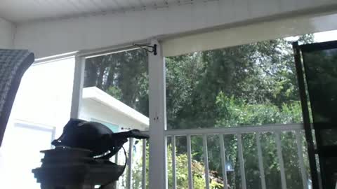 mr bill sir online show from October 6, 5:43 pm