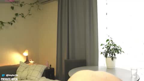 Snapshot of boyturtle chatting on November 5, 10:04 am BoyTurtle online show from November 5, 10:04 am