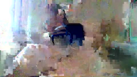 Snapshot of bpbww chatting on September 19, 4:40 pm bpbww online show from September 19, 4:40 pm