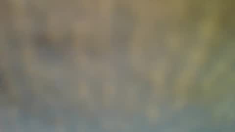 Snapshot of bradynoggle chatting on February 12, 6:40 pm bradynoggle online show from February 12, 6:40 pm