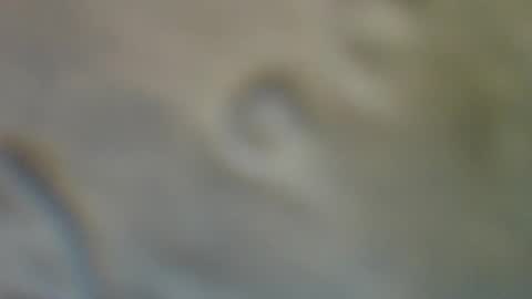 Snapshot of bradynoggle chatting on September 11, 2:55 am bradynoggle online show from September 11, 2:55 am