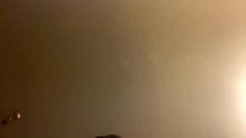 Brain Ortega online show from February 28, 1:01 pm