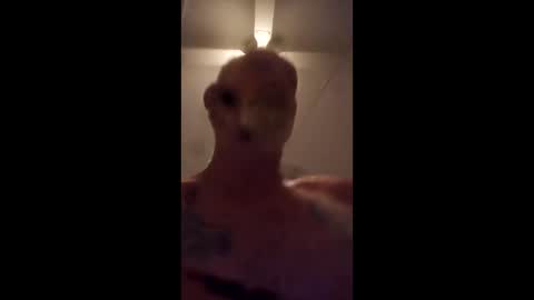 Devilish  Dave 420 friendly online show from December 14, 1:16 pm