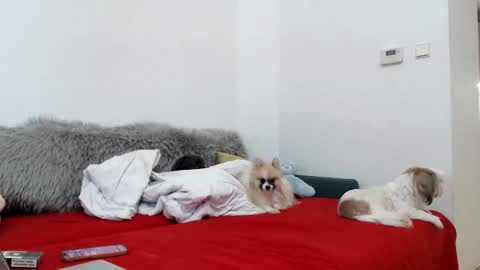 bratzdoll1994 online show from November 4, 5:12 pm