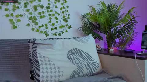 Johny Bravo online show from September 17, 12:29 pm