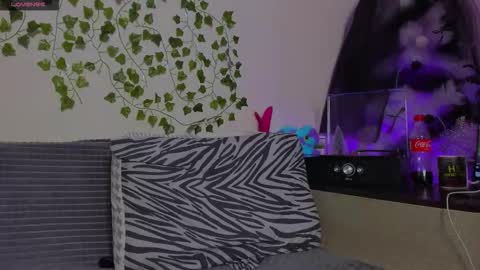 Johny Bravo online show from January 13, 8:03 pm