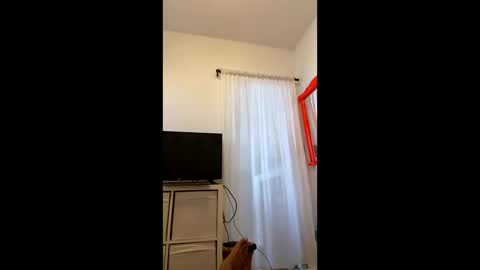 Snapshot of brazilianb0yy chatting on September 22, 9:22 am brazilianb0yy online show from September 22, 9:22 am