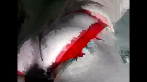 Anal-Prince online show from November 19, 6:02 am