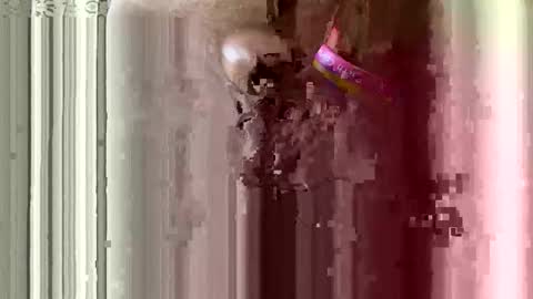 Snapshot of brewfan65 chatting on October 24, 8:49 pm brewfan65 online show from October 24, 8:49 pm