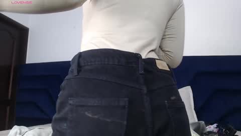 Snapshot of brigith24 chatting on November 13, 2:32 am Brigith online show from November 13, 2:32 am