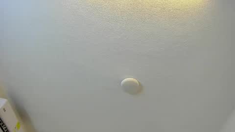 Brittany  online show from March 1, 8:00 pm