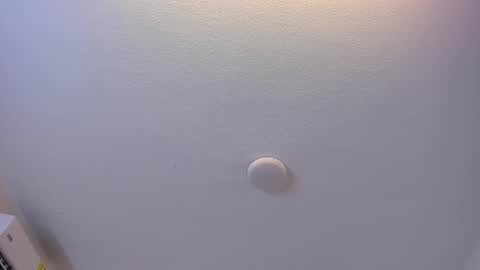 Brittany  online show from March 8, 7:39 pm