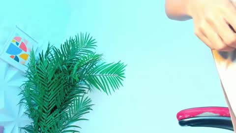 BRIYIT     online show from January 16, 11:15 am