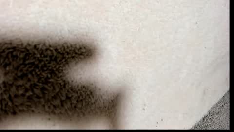 Snapshot of brockhurn_ chatting on September 15, 2:00 am brockhurn_ online show from September 15, 2:00 am