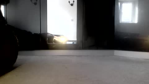 Brown Cros dresser Sissy online show from April 5, 12:02 pm