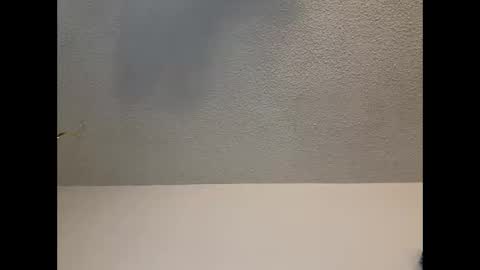 EtherealLilac online show from February 11, 9:56 pm