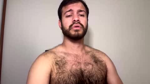 brtiotter online show from September 19, 7:47 pm