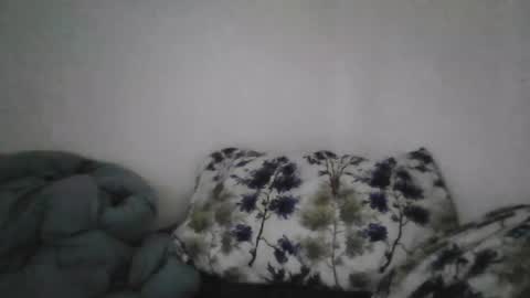Snapshot of bruc12168 chatting on June 20, 12:08 pm Bruc12168 fit slim new makemecum bigdick edging online show from June 20, 12:08 pm