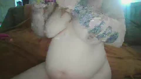 Kitty online show from March 7, 4:00 pm