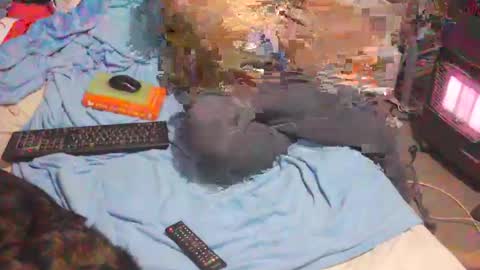 Snapshot of bufu21 chatting on February 2, 9:56 pm bufu21 online show from February 2, 9:56 pm