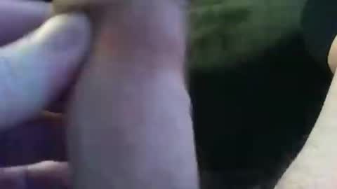 bullemoe online show from January 9, 7:42 am