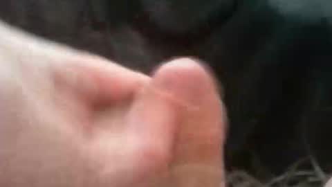 bullemoe online show from October 2, 7:04 am