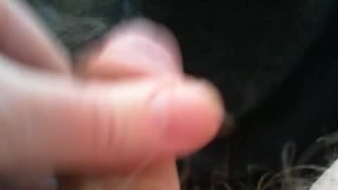 bullemoe online show from December 15, 9:13 am