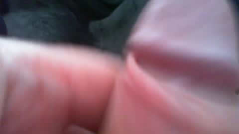 bullemoe online show from February 7, 12:42 pm