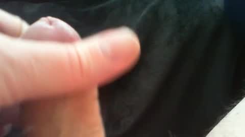 bullemoe online show from March 24, 10:09 am