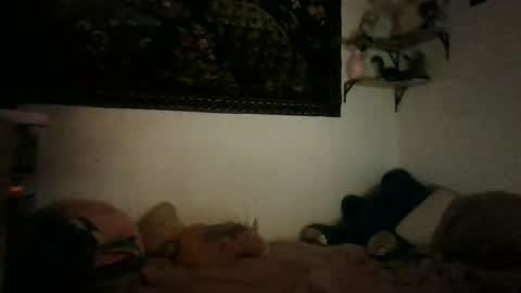 bunn13cat online show from March 17, 12:52 pm