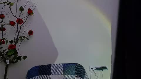 Snapshot of bunnybloom_ chatting on April 28, 8:03 pm Ariel online show from April 28, 8:03 pm
