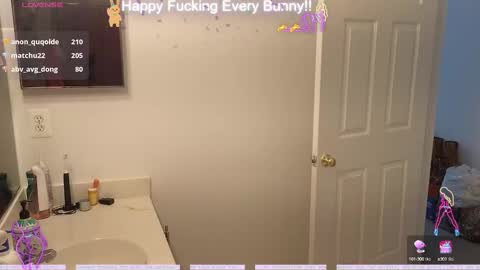 Tokki  bunny  online show from December 3, 2:16 pm