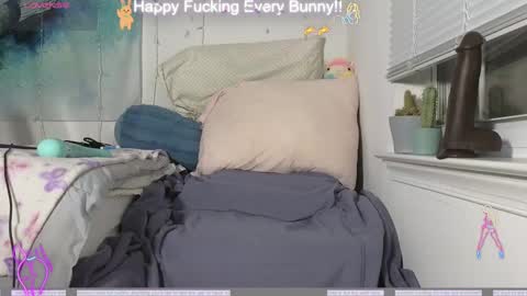 Tokki  bunny  online show from December 4, 11:24 pm