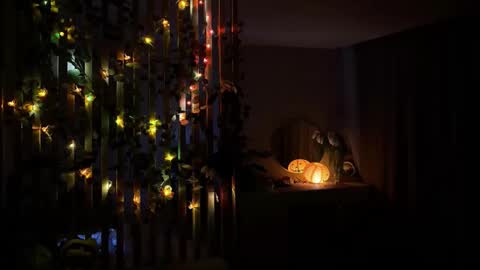 bunnypure online show from January 15, 10:53 am