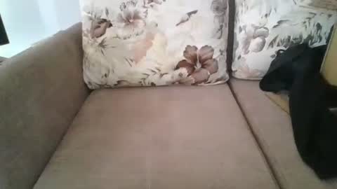 burak20x online show from October 30, 7:10 am