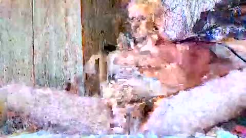 burnzart online show from September 22, 8:33 pm