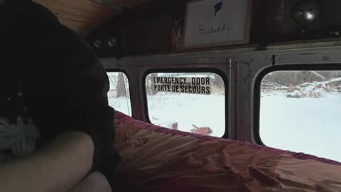 Snapshot of busbuddies chatting on December 29, 4:19 pm busbuddies online show from December 29, 4:19 pm