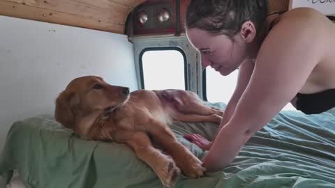 Snapshot of busbuddies chatting on February 2, 4:54 pm busbuddies online show from February 2, 4:54 pm