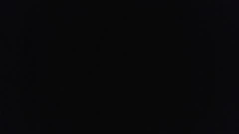 bushhouse21 online show from March 14, 8:20 am