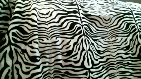 Snapshot of bustinfree chatting on February 5, 3:31 pm bustinfree online show from February 5, 3:31 pm