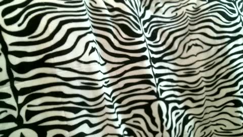 Snapshot of bustinfree chatting on September 9, 5:56 pm bustinfree online show from September 9, 5:56 pm