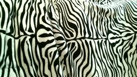 Snapshot of bustinfree chatting on September 15, 3:34 pm bustinfree online show from September 15, 3:34 pm