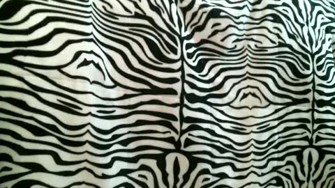 Snapshot of bustinfree chatting on September 16, 3:35 pm bustinfree online show from September 16, 3:35 pm