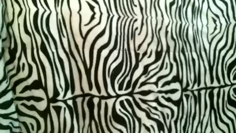 Snapshot of bustinfree chatting on October 18, 12:39 pm bustinfree online show from October 18, 12:39 pm