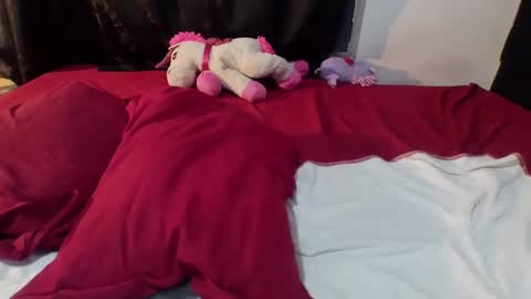 Dylan online show from February 20, 6:37 am