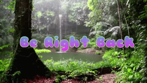 Butterfly and Bear online show from December 8, 9:19 pm