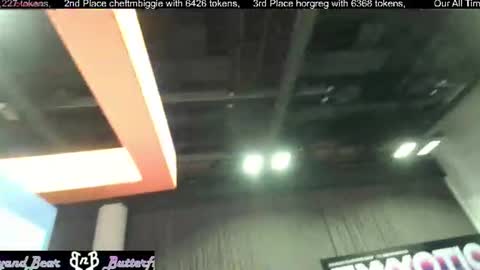 Butterfly and Bear online show from June 27, 6:57 pm